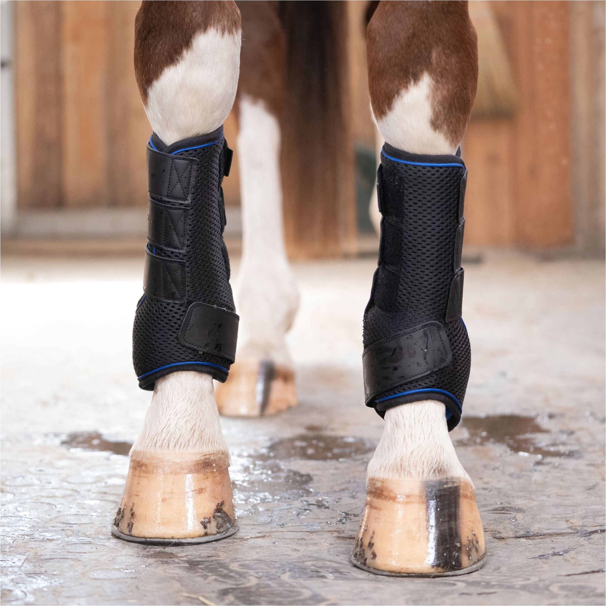 2026 HKM Cooling Protection Boots Equine Care Pro 15678 - Black